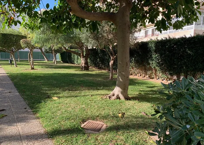 Lejlighed Encantador Playa Torrevieja